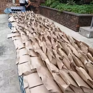 75279398_3246859345386637_7178563804018507776_n