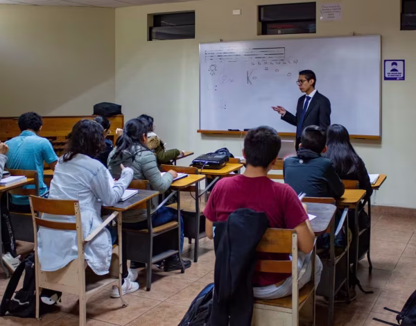 Programas Universitarios