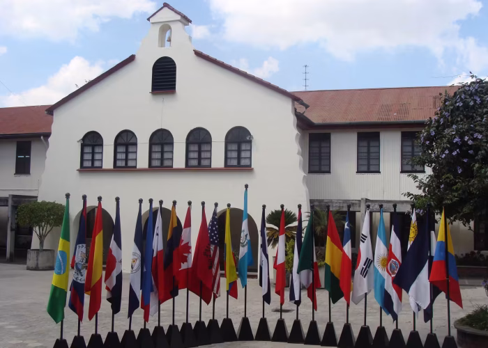 flags