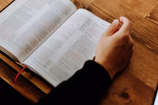 priscilla-du-preez-4Gi3H-4evlk-unsplash (1) priscilla-du-preez-4Gi3H-4evlk-unsplash (1)